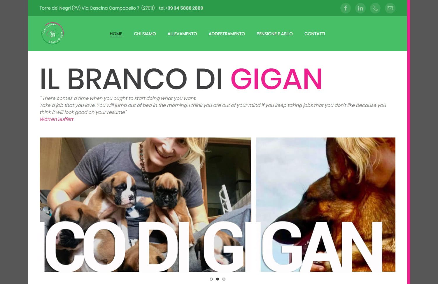 Il Branco di Gigan
